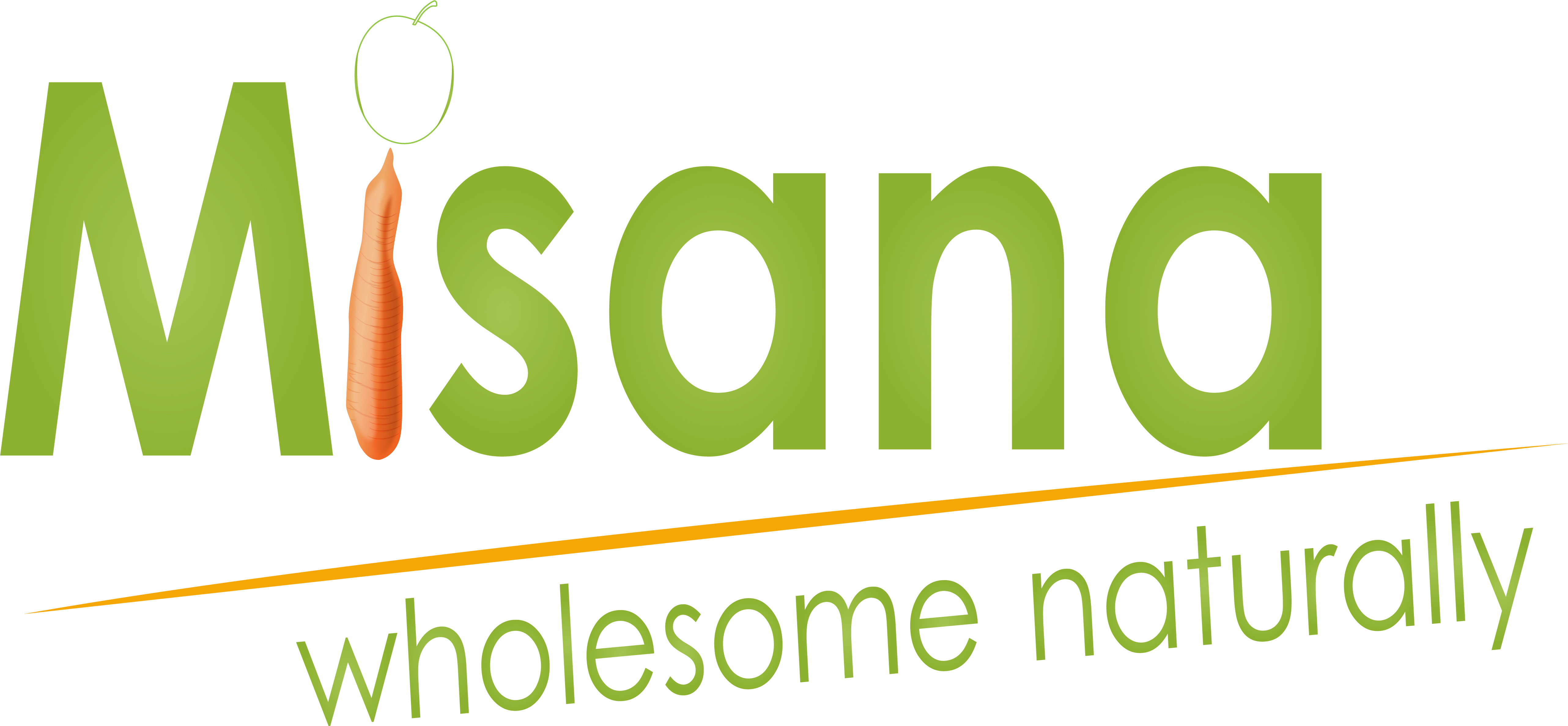 misanalogo